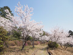春暖