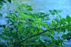 DF0_0363