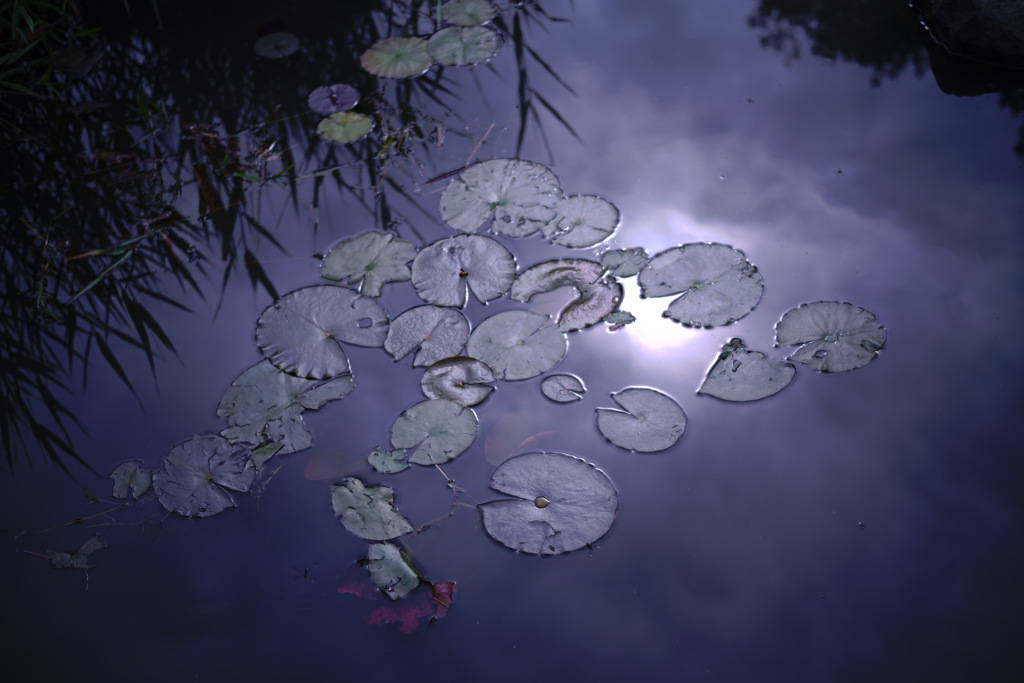 reflect