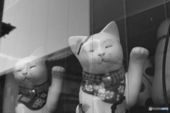 招き猫