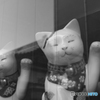 招き猫