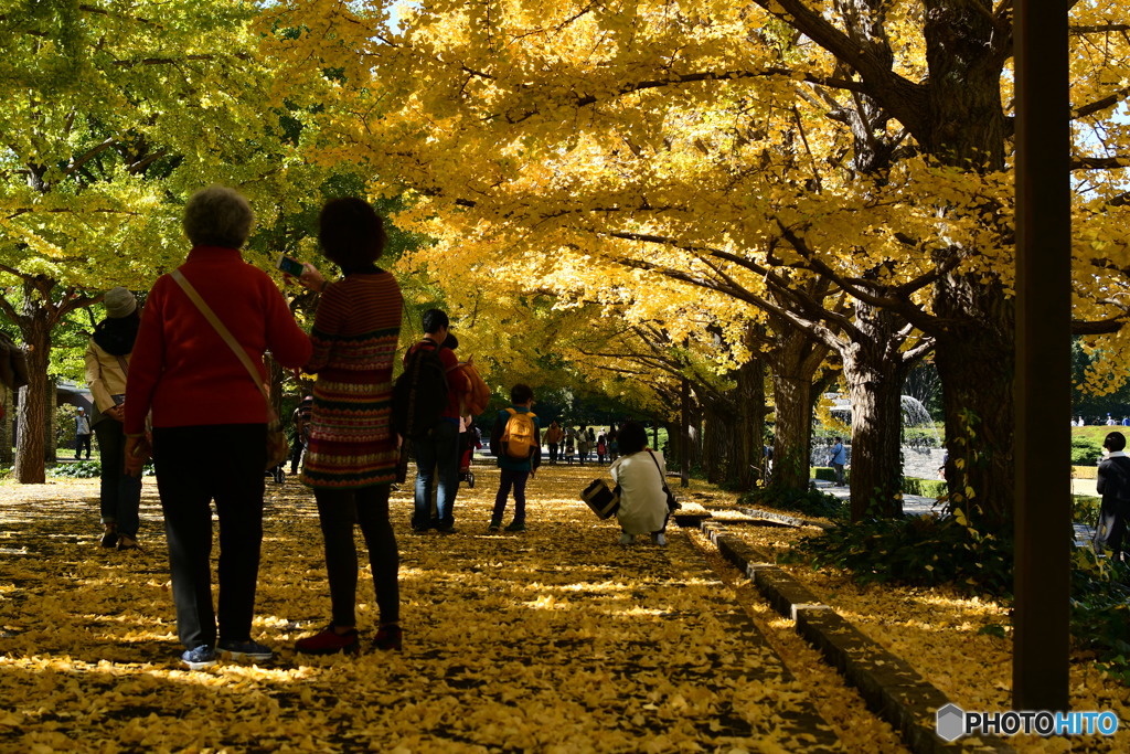Autumn