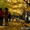 Autumn