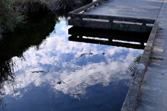 映り込んだ青空