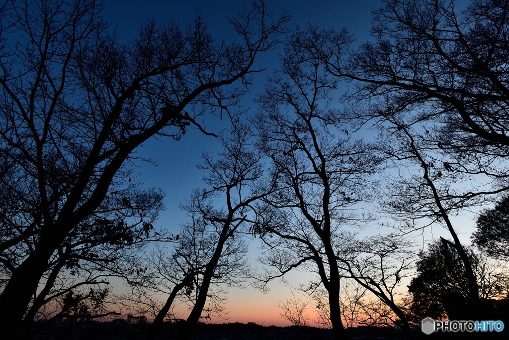 夕暮れ
