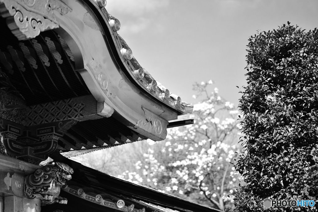 上野東照宮