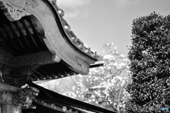 上野東照宮