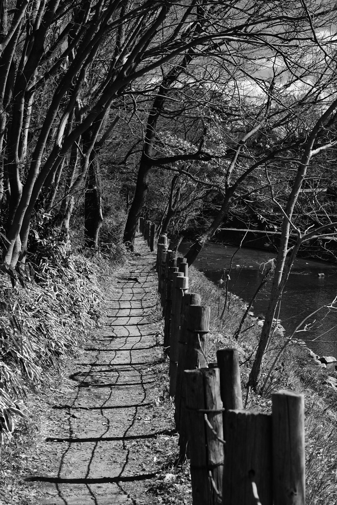散歩道