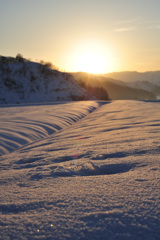 夕暮れ2
