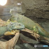 鳥羽水族館_01