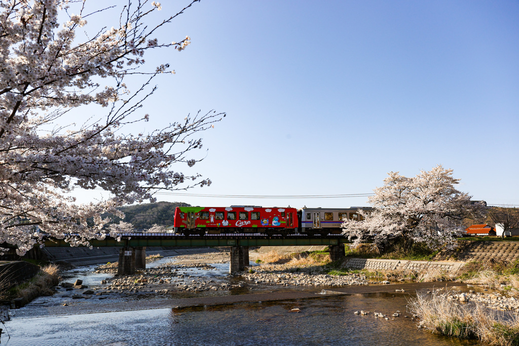 春の芸備線③