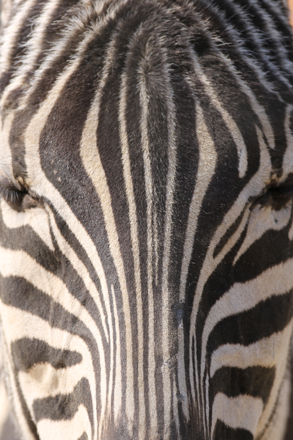 symmetry