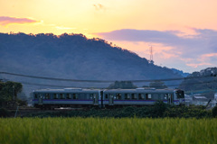 芸備線　夕景