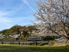 福塩線の春