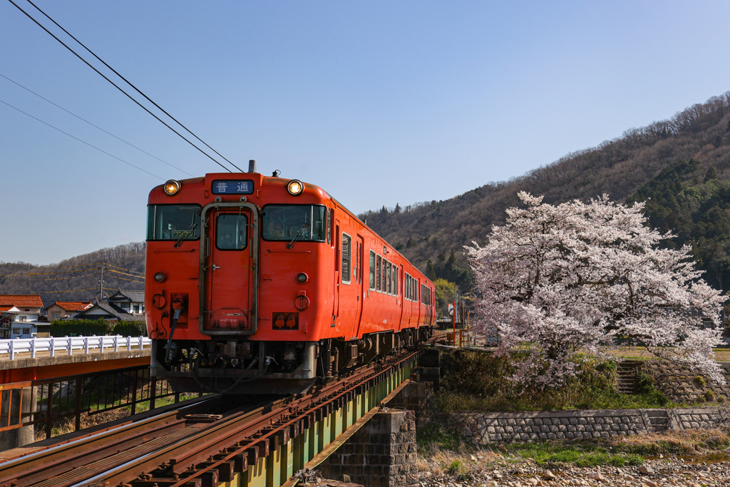 春の芸備線①