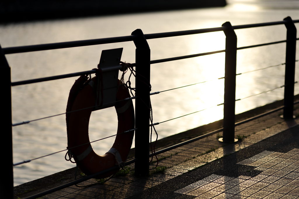 YOKOHAMA WALK①