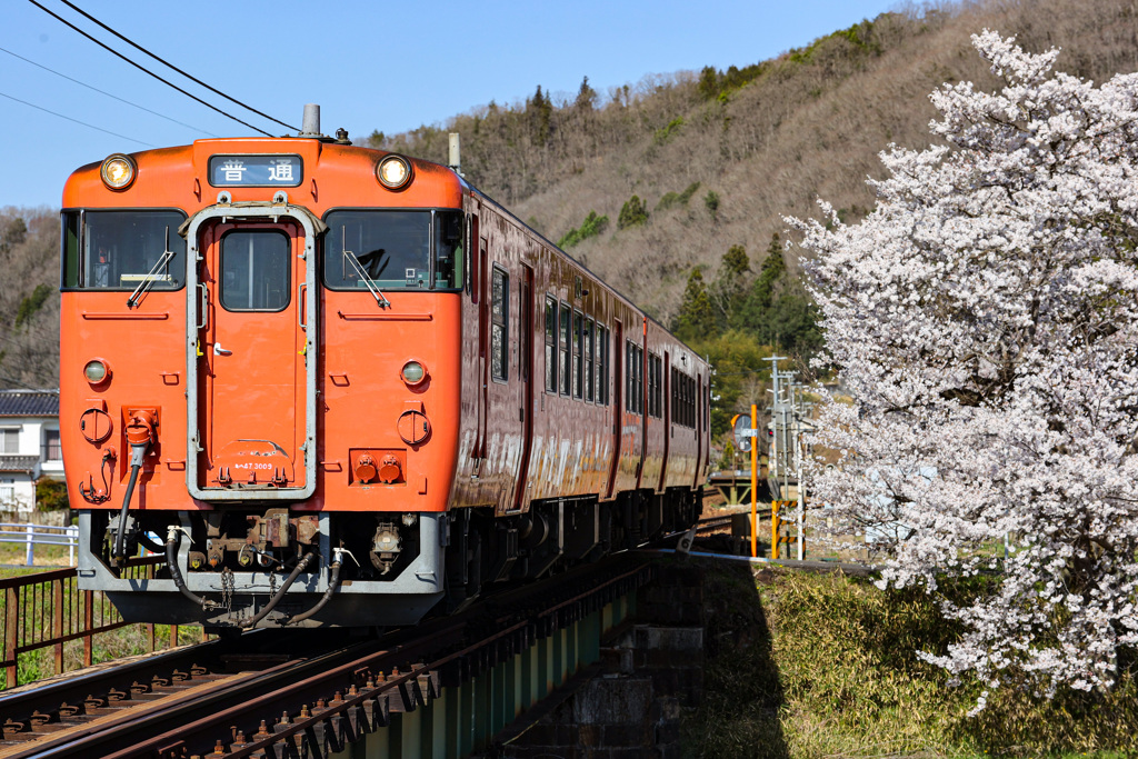 春の芸備線②