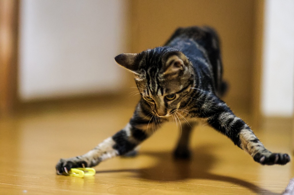attack！