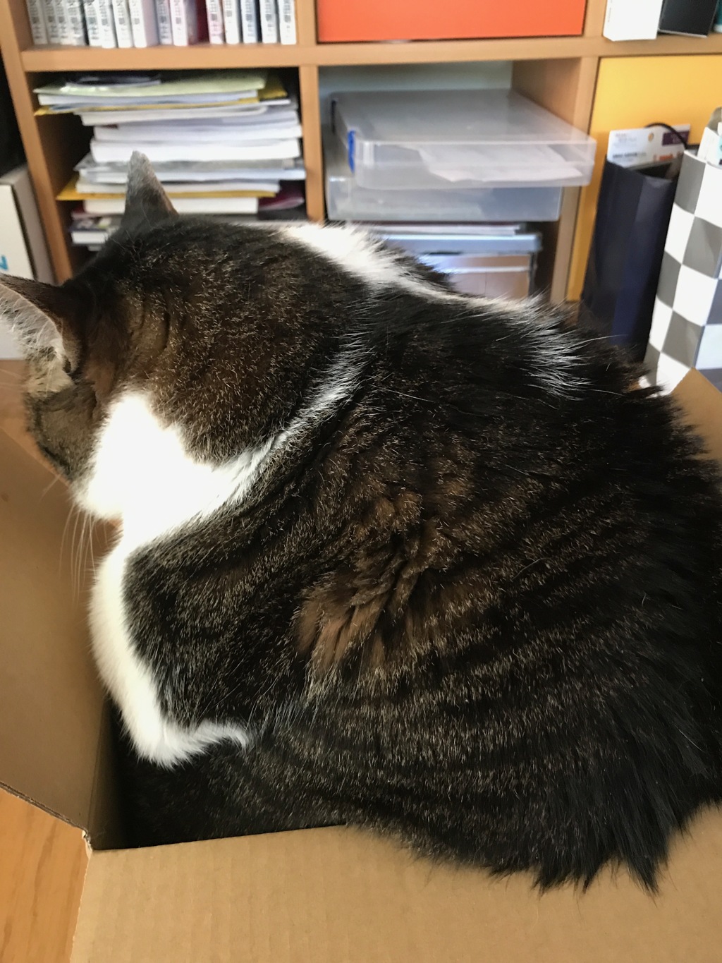 大丈夫。入ってる。