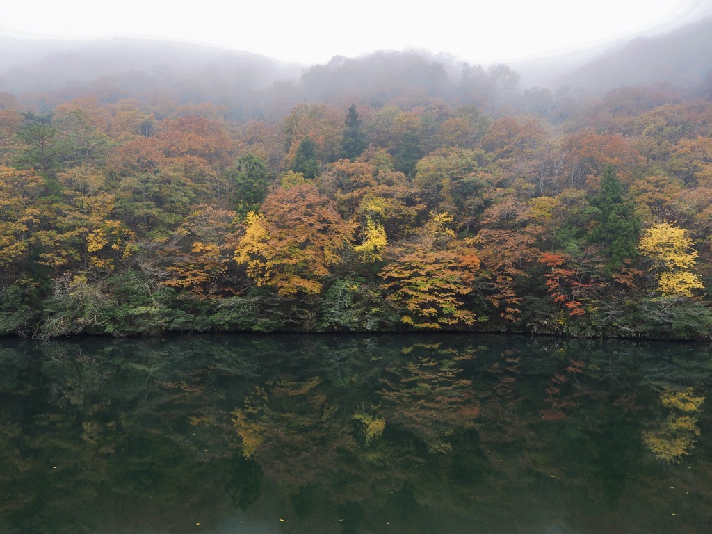 霧、紅葉、反射