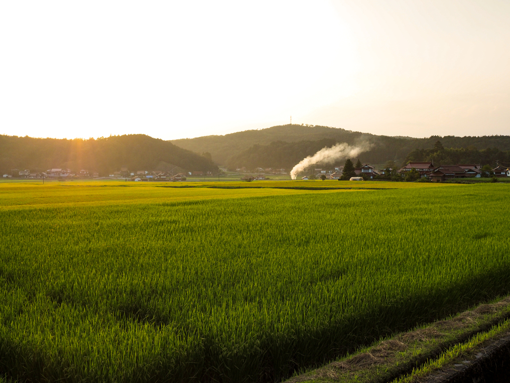 田舎の風景