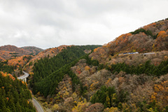 ループ橋と紅葉とおろち号