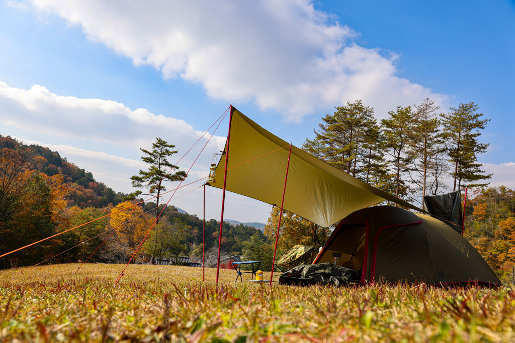 紅葉野遊び