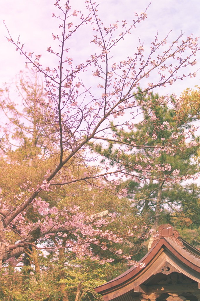 鎌倉