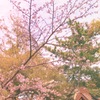 鎌倉