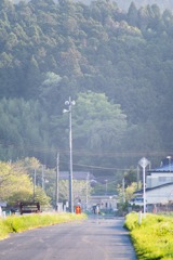 田舎