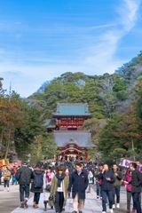 鶴岡八幡宮