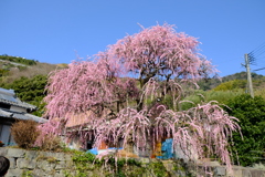 dscf0252
