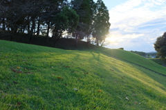 いつぶりかな、こんな綺麗な夕日。