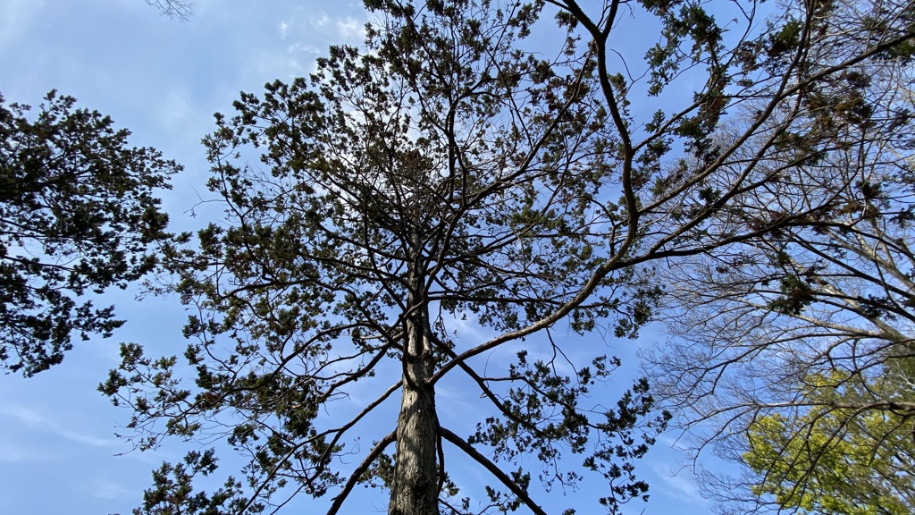 iPhoto.1