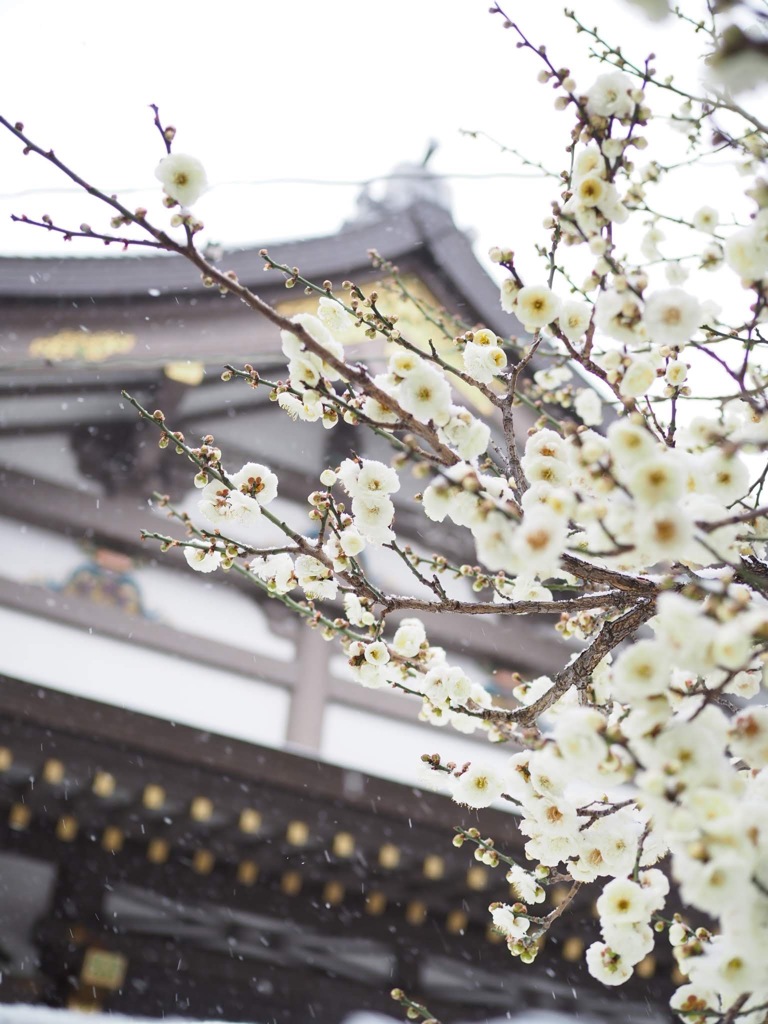 27536919-4CE2-4D68-8276-146CCE6C945B