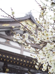 27536919-4CE2-4D68-8276-146CCE6C945B