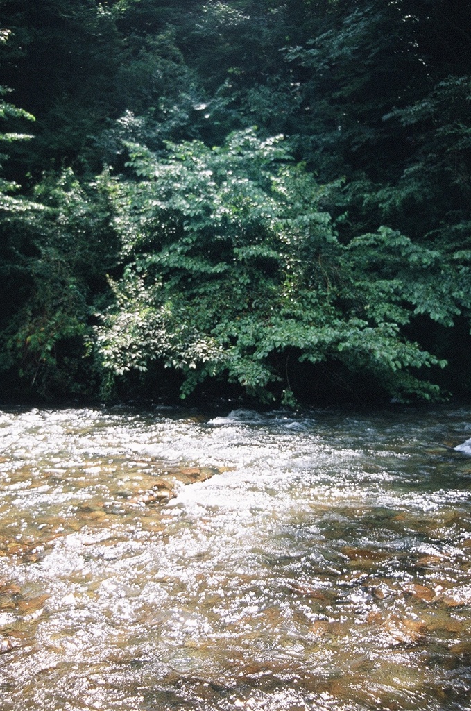 四万湖の川