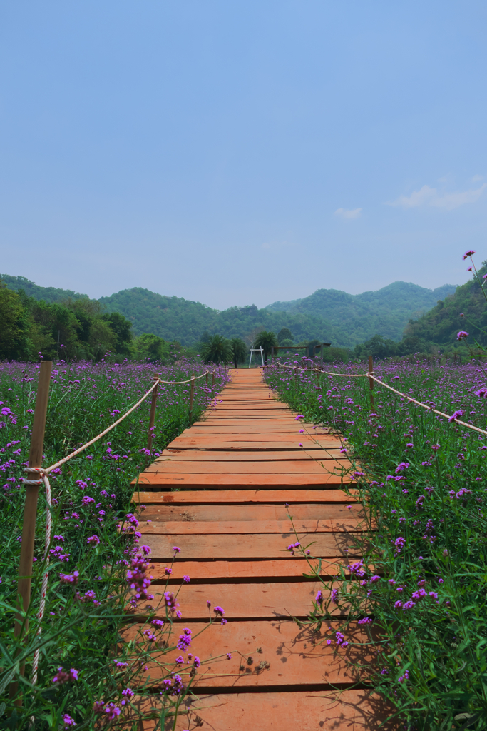 少し北海道的な・・・