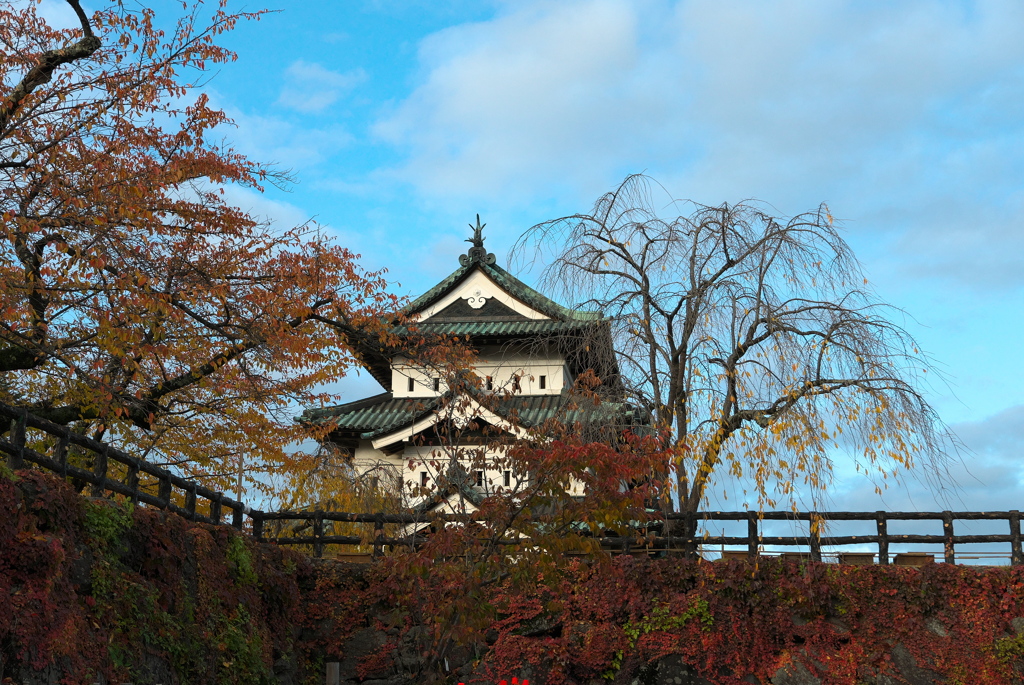 今年で見納め（１）