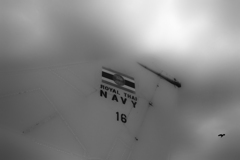 ROYAL THAI NAVY