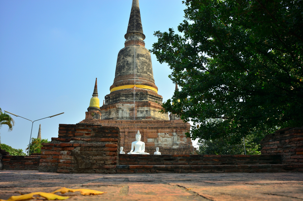 裏手よりのぞむ