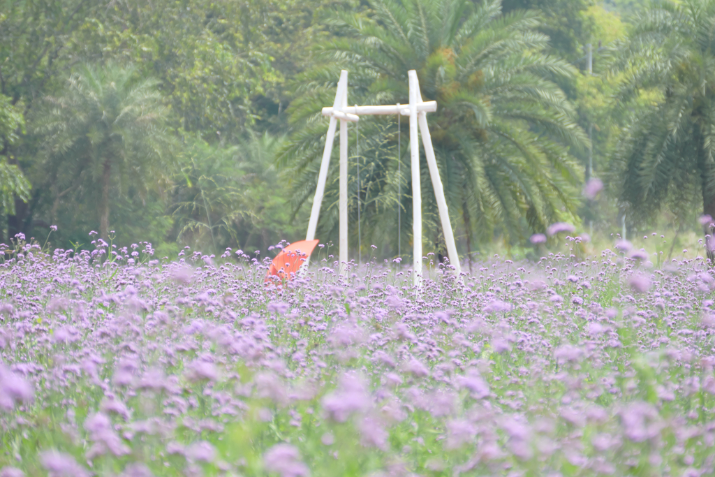 Parasol in the flower garden