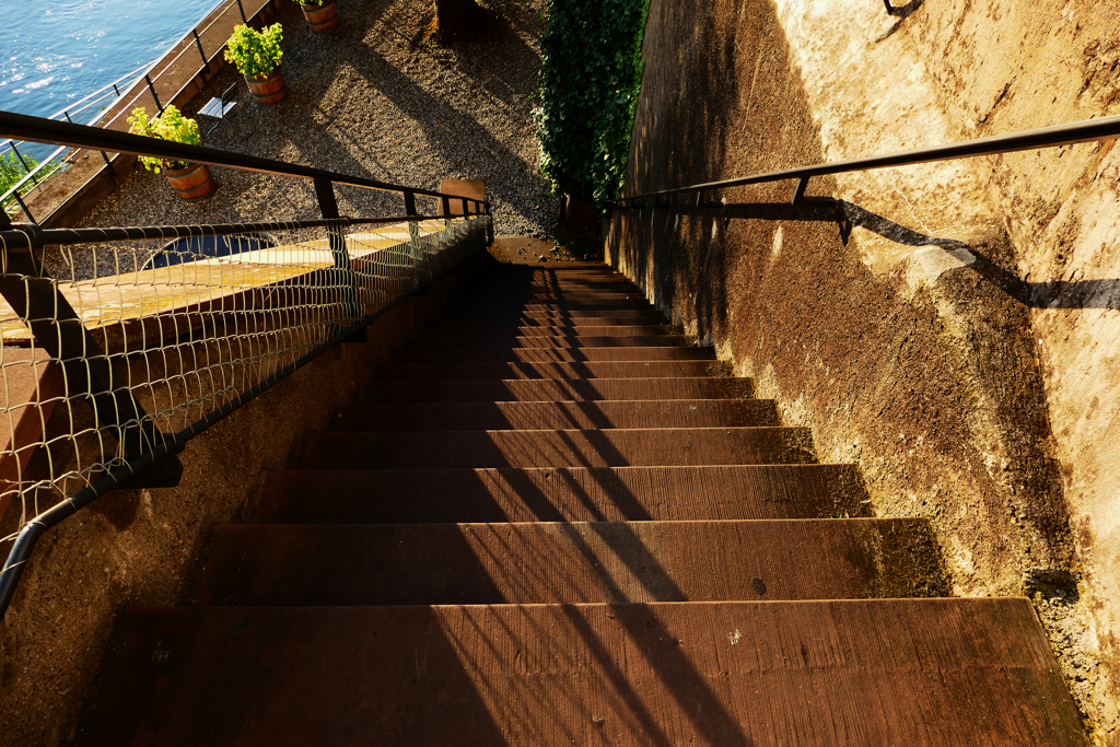 ライン川への階段