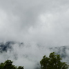雨季の風景