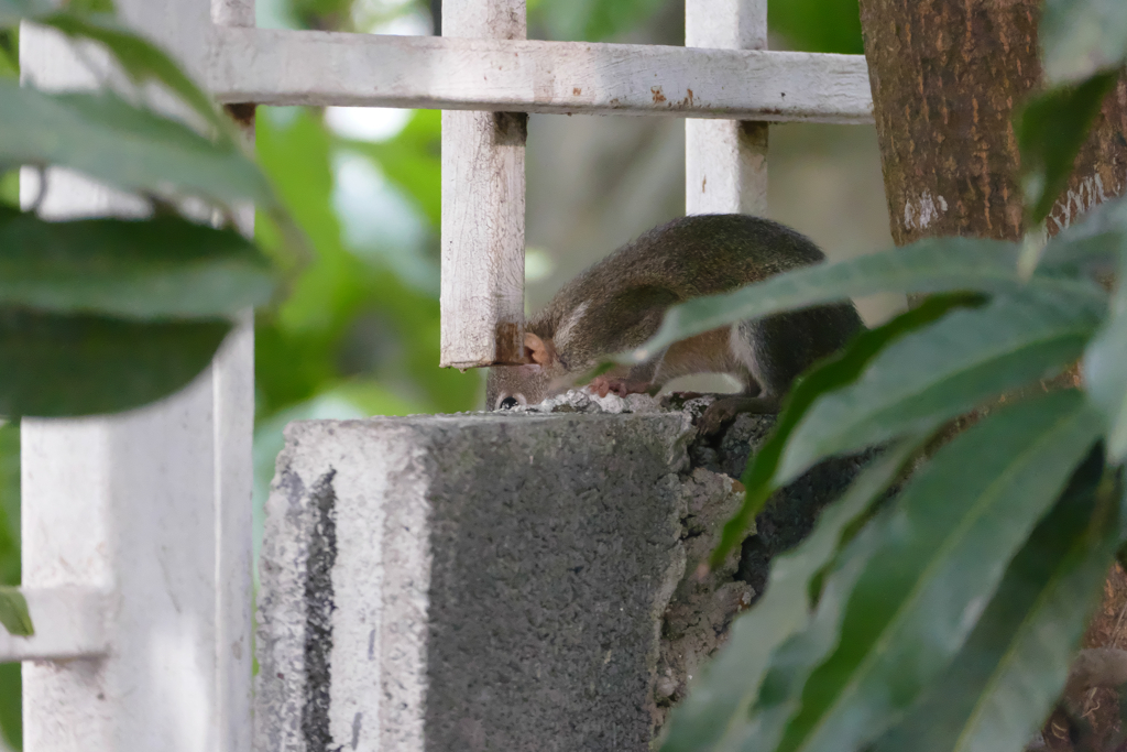 ん、何かあるな？