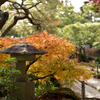 姫路城好古園 22