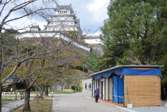 姫路城菊花展 1