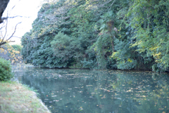 令和元年11月姫路城の堀 2