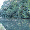 令和元年11月姫路城の堀 2