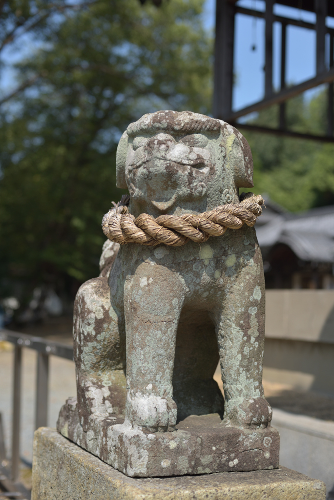 聡うかしこく